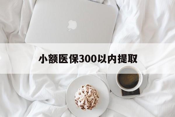海盐最新小额医保300以内提取方法分析(最方便真实的海盐小额医保300以内提取微信方法)